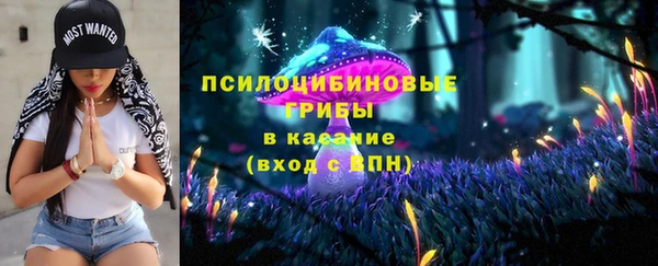 соль ск Аркадак