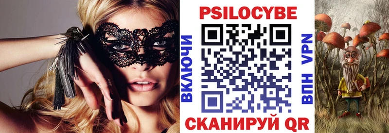 Псилоцибиновые грибы Cubensis  Балтийск 